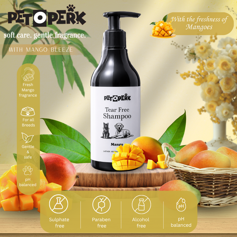 Tear Free Mango Shampoo